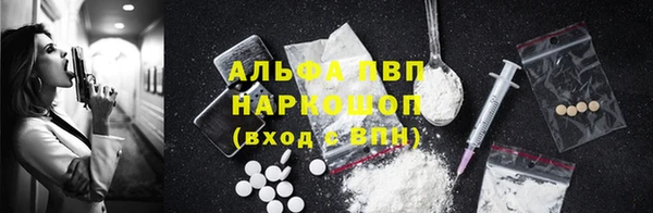 мяу мяу мука Елизово