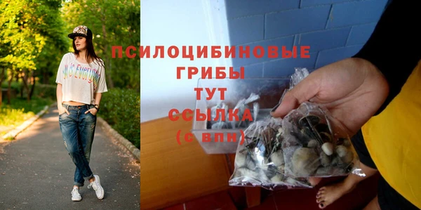 мяу мяу мука Елизово